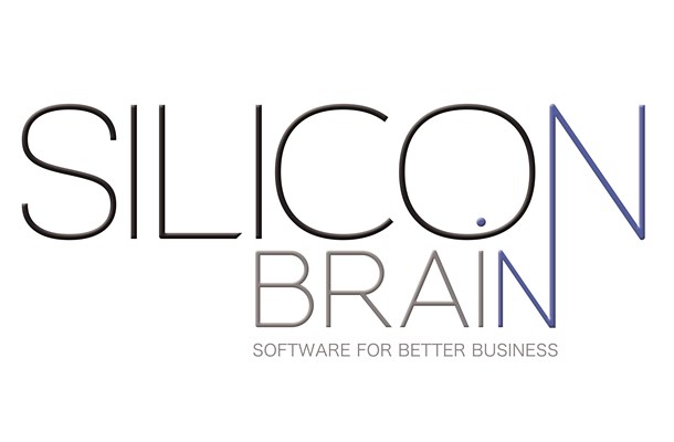 Silicon Brain
